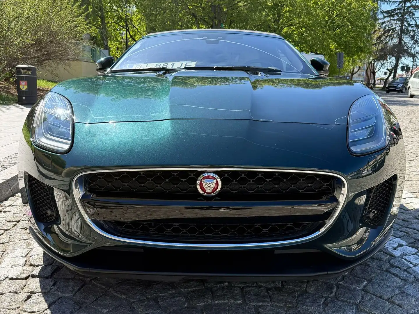 Jaguar F-Type F-Type Cabriolet 2.0 British Green Grün - 2