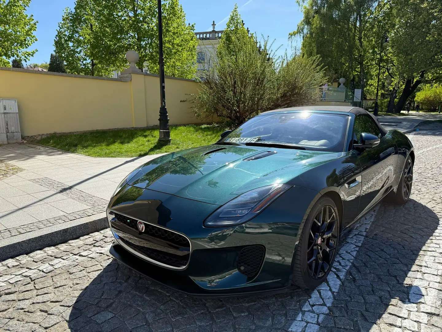 Jaguar F-Type F-Type Cabriolet 2.0 British Green Grün - 1