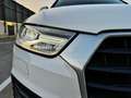 Audi Q3 2.0TDI Sport edition 110kW(4.75) Blanc - thumbnail 11