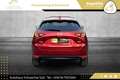 Mazda CX-5 CD184 AWD Takumi Plus Aut. // VOLLE HÜTTE // Rot - thumbnail 11