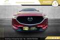 Mazda CX-5 CD184 AWD Takumi Plus Aut. // VOLLE HÜTTE // Rot - thumbnail 17