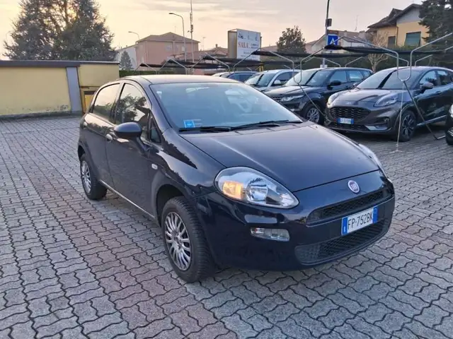 Fiat Punto view 7