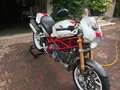 Ducati Monster S4R MONSTER S4RS Bianco - thumbnail 3