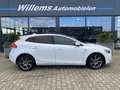 Volvo V40 2.0 D2 Ocean Race Panodak Wit - thumbnail 4