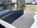 Volvo V40 2.0 D2 Ocean Race Panodak Wit - thumbnail 12