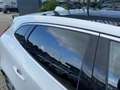 Volvo V40 2.0 D2 Ocean Race Panodak Wit - thumbnail 6
