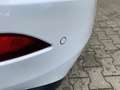 Volvo V40 2.0 D2 Ocean Race Panodak Wit - thumbnail 9