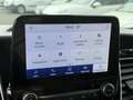 Ford Transit Custom 2,0 TDCI 290 L1 Sport 136 kW (18... Blau - thumbnail 16