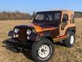 Jeep CJ-5 V8 Golden Eagle,orig33tmls!Erstlack!Survivor Zielony - thumbnail 12