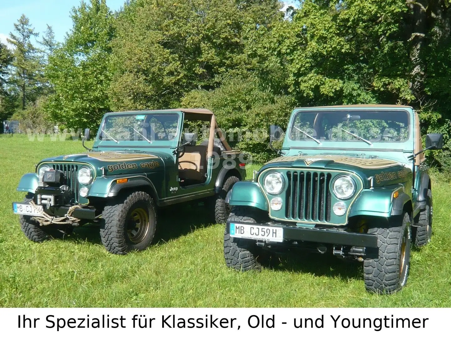 Jeep CJ-5 V8 Golden Eagle,orig33tmls!Erstlack!Survivor zelena - 1
