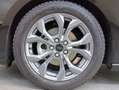 Ford Focus 1.5 EcoBlue 115 CV automatico 5p. ST-Line - thumbnail 8