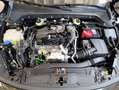 Ford Focus 1.5 EcoBlue 115 CV automatico 5p. ST-Line - thumbnail 30