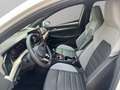 Volkswagen Golf Edition 50 Jahre 1.5 TSI Leder Panoramadach Weiß - thumbnail 11