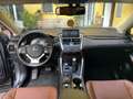 Lexus NX 300 NX I 2014 300h 2.5 Luxury 4wd cvt Grigio - thumbnail 11