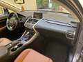 Lexus NX 300 NX I 2014 300h 2.5 Luxury 4wd cvt Gris - thumbnail 20