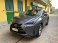 Lexus NX 300 NX I 2014 300h 2.5 Luxury 4wd cvt Grigio - thumbnail 3