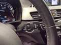 BMW X1 xDrive25e Hybrid Plug In auto Cruise Navi Fari LED Blanc - thumbnail 17