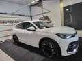 Volkswagen Tiguan 1.5 TSI eHybrid R-Line DSG 150kW Blanco - thumbnail 13