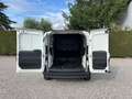 Fiat Doblo CARGO CH1 LOUNGE 1.3 MJET Weiß - thumbnail 31