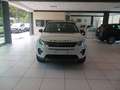Land Rover Discovery Sport 2.0 TD4 150 CV Pure Білий - thumbnail 5