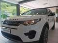 Land Rover Discovery Sport 2.0 TD4 150 CV Pure White - thumbnail 8