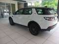 Land Rover Discovery Sport 2.0 TD4 150 CV Pure White - thumbnail 3