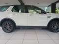 Land Rover Discovery Sport 2.0 TD4 150 CV Pure White - thumbnail 11