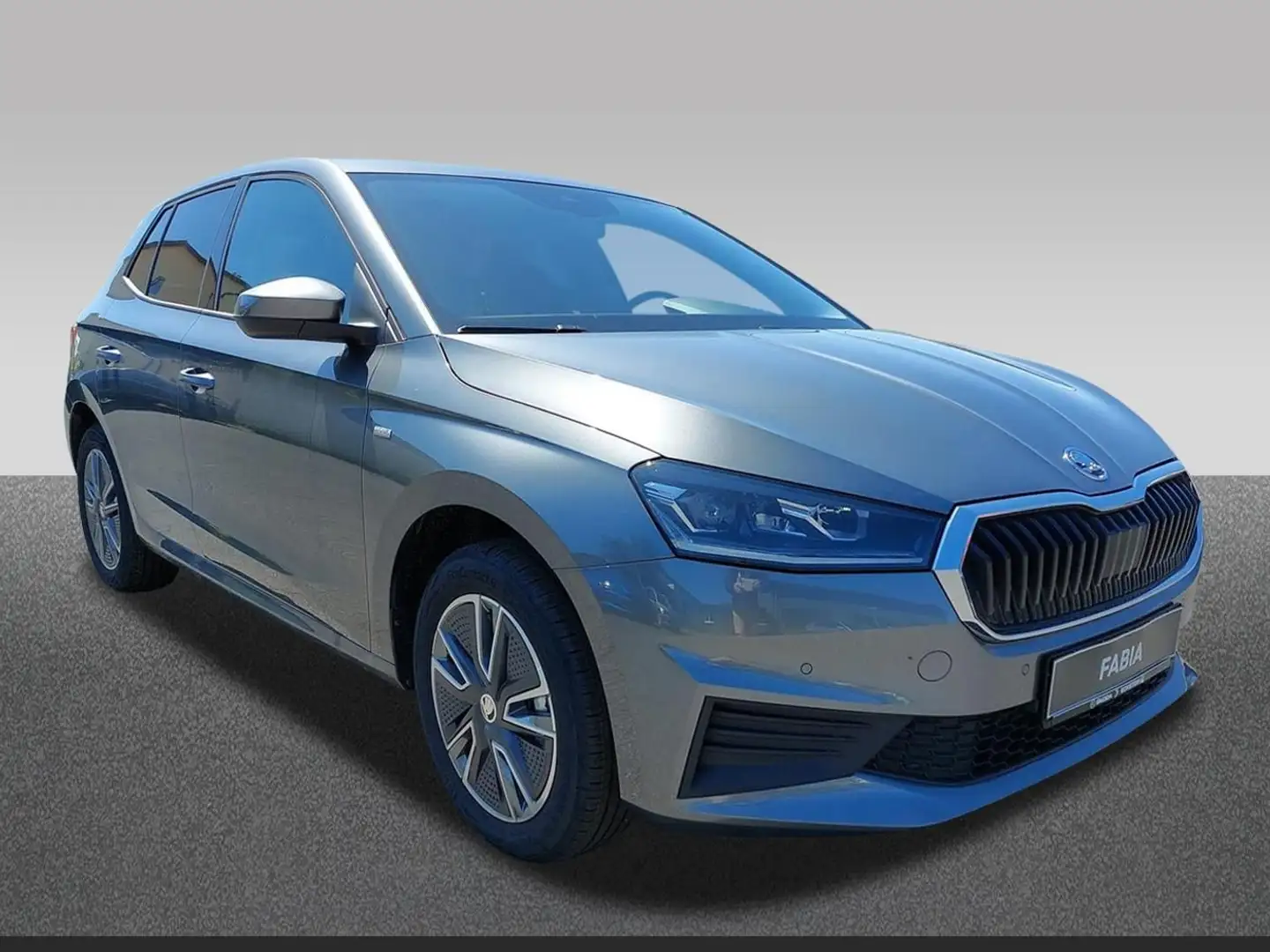 Skoda Fabia 1.0 TSI Tour+WInter+PDC vorne Grau - 1