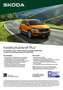 Skoda Fabia 1.0 TSI Tour+WInter+PDC vorne Grau - thumbnail 23