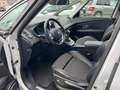 Renault Scenic IV Grand BOSE Edition Noir - thumbnail 14