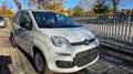 Fiat Panda 1.0 firefly hybrid s&s 70cv KM ZERO Blanc - thumbnail 5