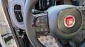 Fiat Panda 1.0 firefly hybrid s&s 70cv KM ZERO Blanc - thumbnail 12