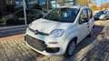Fiat Panda 1.0 firefly hybrid s&s 70cv KM ZERO Blanc - thumbnail 1