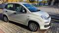 Fiat Panda 1.0 firefly hybrid s&s 70cv KM ZERO Blanc - thumbnail 7