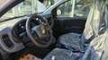 Fiat Panda 1.0 firefly hybrid s&s 70cv KM ZERO Blanc - thumbnail 6