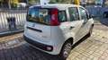 Fiat Panda 1.0 firefly hybrid s&s 70cv KM ZERO Blanc - thumbnail 11
