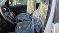Fiat Panda 1.0 firefly hybrid s&s 70cv KM ZERO Blanc - thumbnail 8