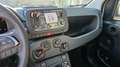Fiat Panda 1.0 firefly hybrid s&s 70cv KM ZERO Blanc - thumbnail 14