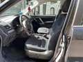 Subaru Forester Forester 2.0i-L Exclu km 85.000 tagliandi Subaru Black - thumbnail 13