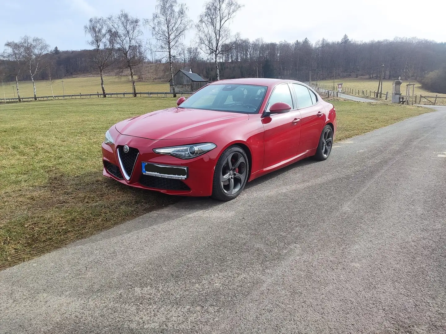 Alfa Romeo Giulia Giulia Diesel 2.2 Diesel AT8 Super Red - 2