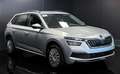 Skoda Kamiq Kamiq 1.0 tsi Ambition 95cv Argento - thumbnail 2