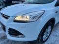 Ford Kuga 2.0 TDCi 4x4 Titanium/AHK/BI-XENON/SHZ/TEMP Blanc - thumbnail 8