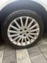 Opel Signum Grau - thumbnail 10