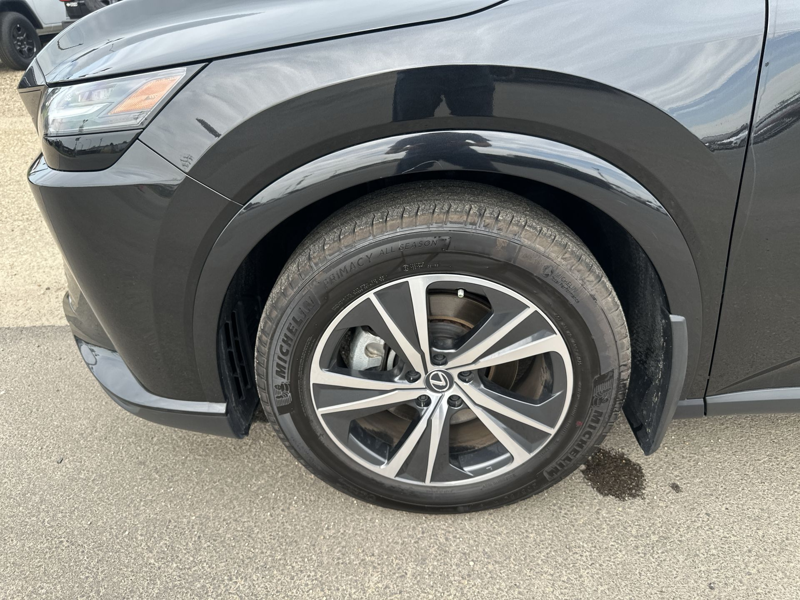 Image 15