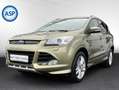 Ford Kuga 1.5 EB AUT 4x4 Individual XENON PANO NAVI Vert - thumbnail 1