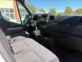 Renault Master MASTER FURGONE L2H2 T35 2.3DCI 135cv Euro6DTemp Bianco - thumbnail 10