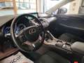 Lexus NX 300 Hybrid FHEV auto Navi Cruise Fari LED Cerchi 18” Grigio - thumbnail 43