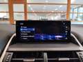 Lexus NX 300 Hybrid FHEV auto Navi Cruise Fari LED Cerchi 18” Grigio - thumbnail 13