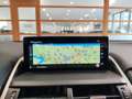 Lexus NX 300 Hybrid FHEV auto Navi Cruise Fari LED Cerchi 18” Grigio - thumbnail 11