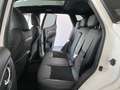 Nissan Qashqai 1.5 dci N-TEC 115cv Tetto Pelle 360 Full Tagliandi Bianco - thumbnail 9